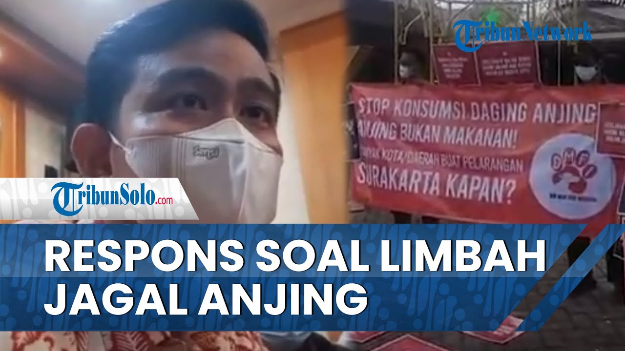 Didesak Soal Aturan Larangan Perdagangan Daging Anjing Di Solo, Gibran ...