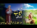 Hazrat Ayoob Ka Waqia in Urdu Hindi | حضرت ایوب کا واقعہ | The Story of Prophet Ayoob|Al,Syed Voice