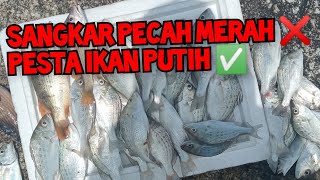 S&M37_ TerNYATA Pulau Rimau Masih BERBISA