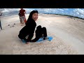 jurienbay 與海獅共游 u0026lancelin 滑沙｜西澳2020