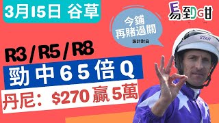 【賽馬易到咁】(3月15日) 再中65倍Q！冷馬過關搏呢條｜賽馬貼士｜100％過關｜谷草