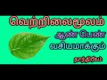 வெற்றிலை வைத்து வசியம் செய்யும் தாநவெற்றவெற்றிலை மூலம் வசியம் . vetrilai moolam vasiyam