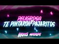 peligrosa x te pintaron pajaritos jose rioos mashup floyymenor andy rivera ft. yandar u0026 yostin