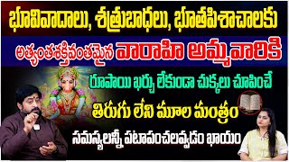 భూవివాదాలు తొలగాలంటే నేను చెప్పిన ఈ మంత్రాలూ జపిస్తే మీ జోలికి ఎవ్వరు రారు  | Sudheer Sharma |