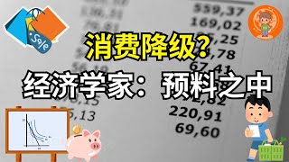 消费降级背后的经济学原理: 从买买买到省省省；我们的消费受到什么的影响? 钱包瘦了，智慧反而提升了? 买不起真的是我们不努力吗？