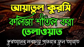 আয়াতুল কুরসী আবেগময় তেলাওয়াত | Ayatul Kursi Bangla Translation & Pronunciation | আয়াতুল কুরসি ৩৩ বার