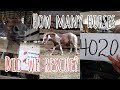 Come to the Horse Auction! Bid to save horses in need