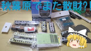 【レア車大量?!】秋葉原で大散財!!