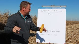 Popular Corn Yield Estimate Formula Off 19% – 40% — Agronomy — Precision Planting