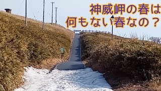 【北海道積丹町】神威岬を独り占め✨Cape Kamui Mar has nothing?