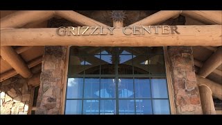 Grizzly Center Gift Shop