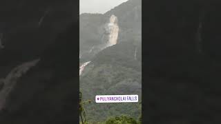 Puliyancholai River Falls #River #Falls Trichy Tourist Spot #Kolli Hills Thuraiyur.