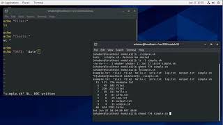 Introduction to bash Scripting - Hello, World