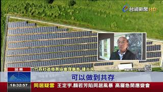 石虎現蹤太陽光電廠保育人士:顛覆想像