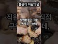 우리가 몰랐던 자갈의 쓸모 불판