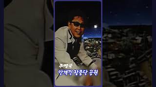 안개낀 장충단 공원 [원곡 배호] 💖 주영국 #추억 #트로트 #힐링