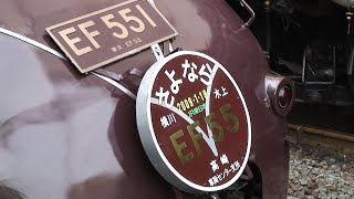 2009年 さよならEF55 1 北本 横川 高崎