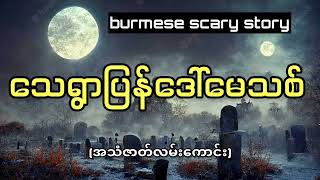 သေရွာပြန်ဒေါ်မေသစ်