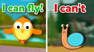 How to use can and can't | English for kids with Novakid