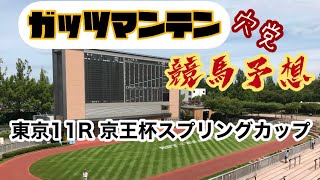 2021年5月15日の競馬予想 京王杯スプリングカップ