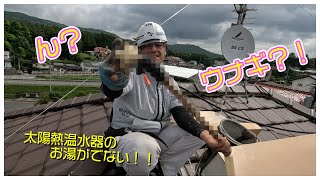 太陽熱温水器お湯が出ない原因は？　なんだこれ！？