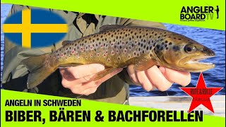 Angeln in Schweden | Biber, Bären und Bachforellen | Jämtland | RUTE & ROLLE Classic| Anglerboard TV