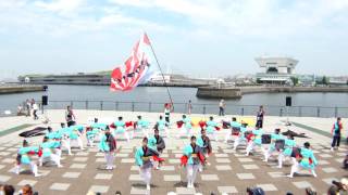 パワフル　01　in　横浜よさこい祭り 良い世さ来い　2016