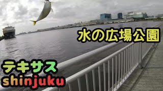 水の広場公園で釣り