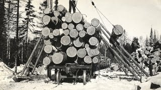 Logging Redwood Giants in the 1940s – Vintage Machinery at Work