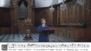 Gregorian chant — Introit \