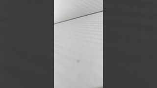 LYaNW5l Y0o