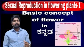 Sexual Reproduction in Flowering plants-1 | Basic concept of flower |12th Biology# Vinaydyavannavar