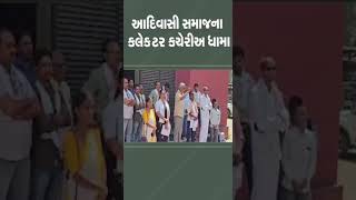 આદિવાસી સમાજના કલેક્ટર કચેરીઅ ધામા | #tapi #protest #gujarat #shorts #tv9gujarati