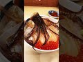 函館でイカの踊り食い🦑squid dancing and eating in hakodate japan.