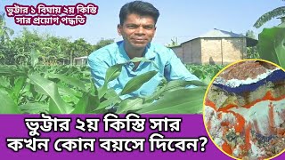 ভুট্টা চাষে ২য় কিস্তিতে কি কি সার দিবেন? | Maize Fertilizer