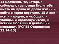 Начертание и боязливые неверные псы и чародеи о чем речь в книге откровения какая связь