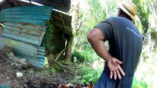 EKEN's ACTION CAMERA \u0026 STIHL MS170 |Life of a villager |First Project |K@mpung M@n K@cut