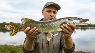 SZCZUPAK z RZEKI PZW - JESIENNY SPINNING - WĘDKARSTWO 2019