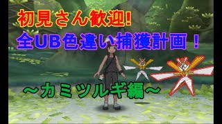 【ポケモン 実況】全UB色違い捕獲計画~カミツルギ編~【USUM】