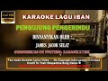 pengujung pengerindu (karaoke) james jacob