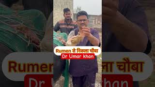 Rumenotomy l dr Umar Khan