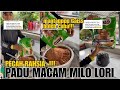 PADU RESEPI MILO LORI