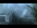 great relaxation to deep sleep with drenching rain u0026 fierce thunder on slender tin roof in forest