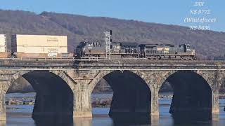 Trains around Harrisburg, Pa 11/03/24 (Day 3)