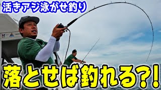 泳がせ釣り絶好調！！これは…落とすたびに釣れる？！【再アップ】