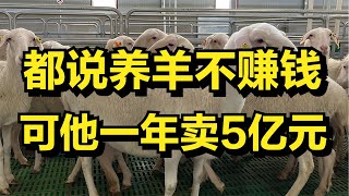 都说养羊不赚钱，可大叔巧妙养羊，一年竟然卖出5亿元！