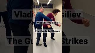 The Guide to strikes, Vladimir Vasiliev the Systema Master