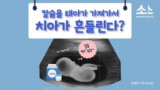 [소소] 칼슘을 태아가 가져가서 치아가 흔들린다?