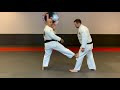 Prof. Leonardo Xavier : Gracie Jiu-Jitsu Defensive Side Kick 