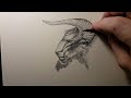 allen williams minotaur head warm up drawing